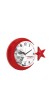 VATAN536 DUVAR SAATİ (425 X 310 MM)