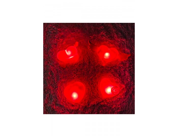 Dekoratif Kalpli Ledli Süsler - 12'li